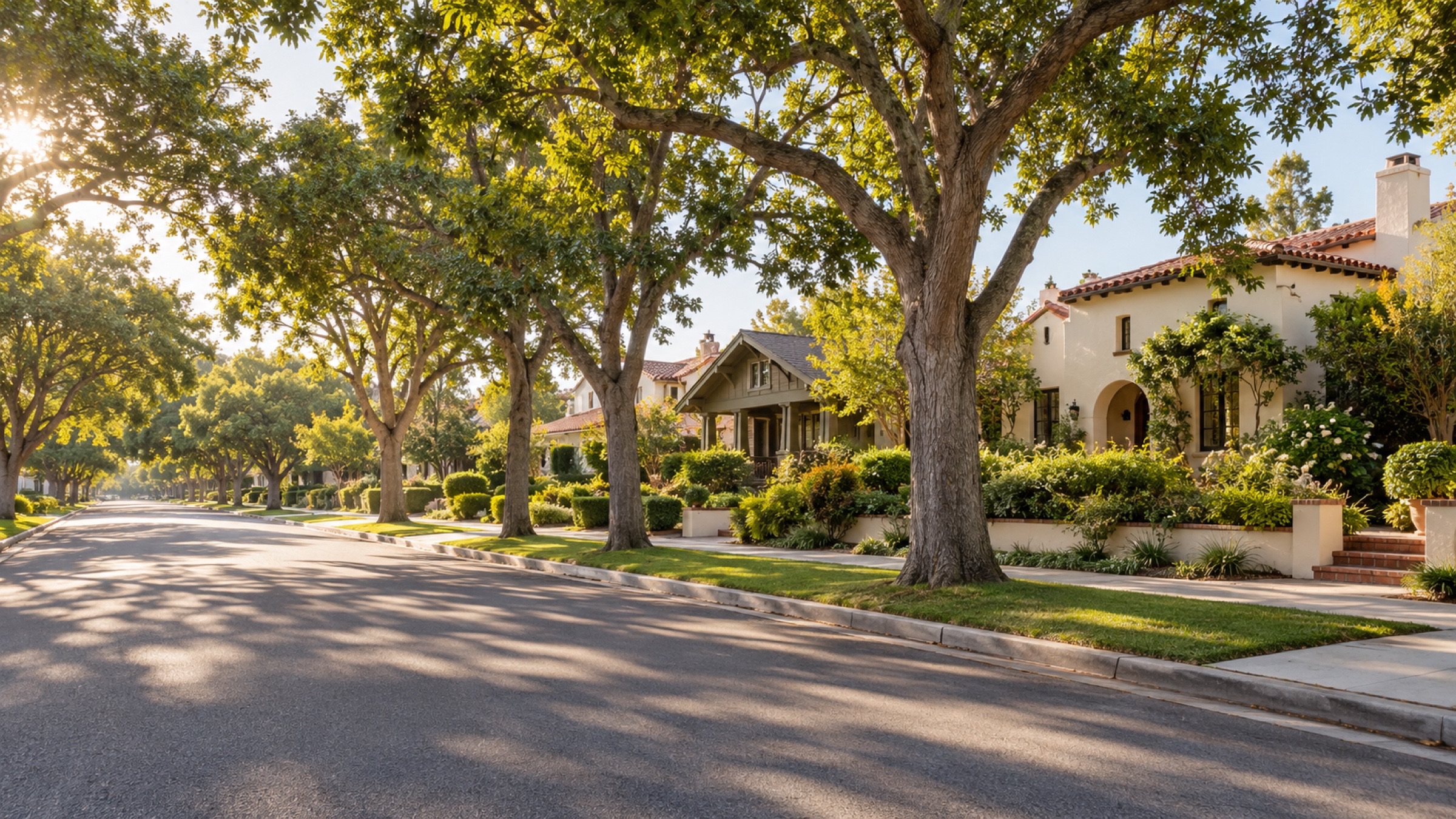 A quiet residential street shaded by mature trees, lined with Spanish-style homes and gardens